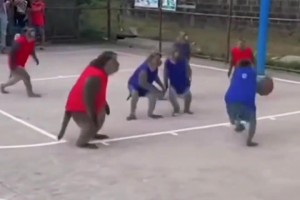 起猛了，竟然看到一群猴哥打篮球！现在AI这么逼真了嘛🙊